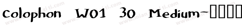 Colophon W01 30 Medium字体转换